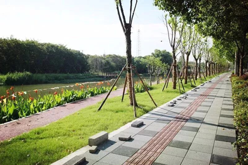 W020251125575321241650 888集团电子游戏(中国区)有限公司官网
